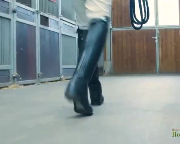 Video von Integer