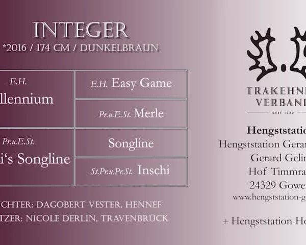 Video von Integer