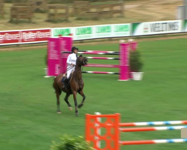 Reitturnier Riesenbeck 2020