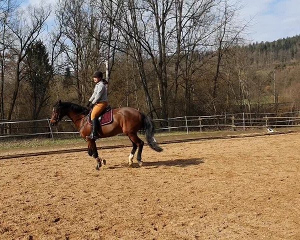 Video von Cyrus 95