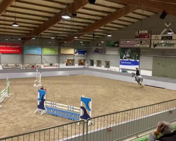 Reitturnier AZL Luhmühlen 2020