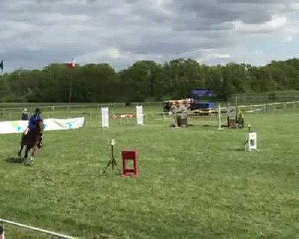 Video von Czingis Chan