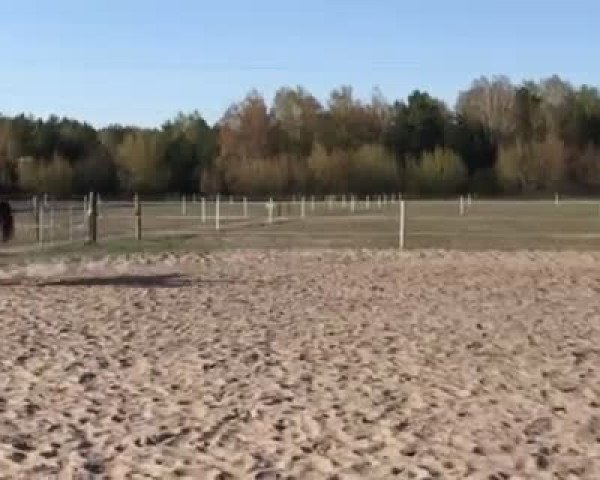 Video von Czingis Chan