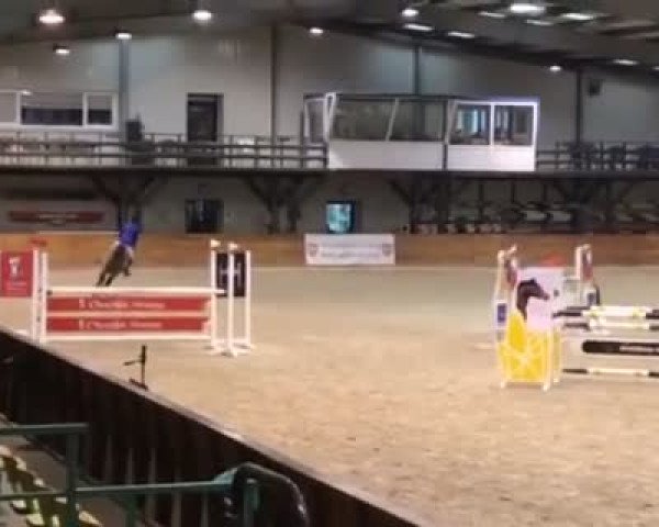 Video von Czingis Chan
