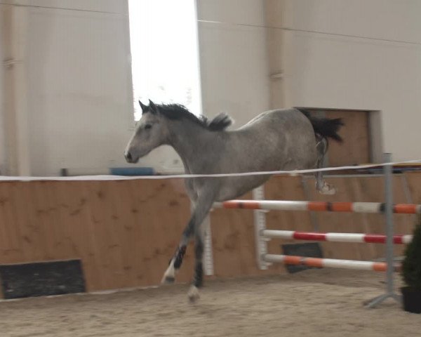 Video of Bounce 7