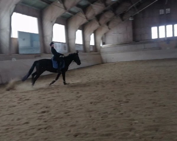 Video of Fabulous Dream
