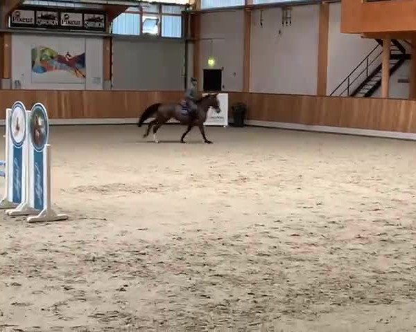 Video of Chica Kb