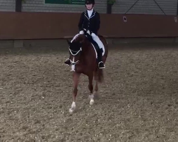 Video von Scavi Del Ray