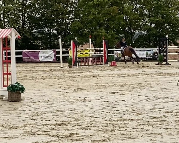 Reitturnier Beselich - Obertiefenbach 2020