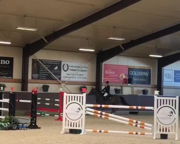 Video of Little Rock P