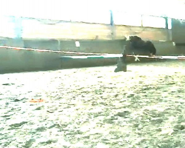 Video of Karat