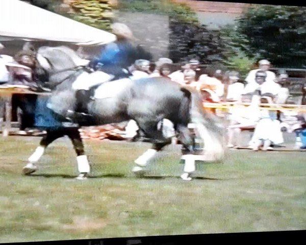Video of Pygmalion
