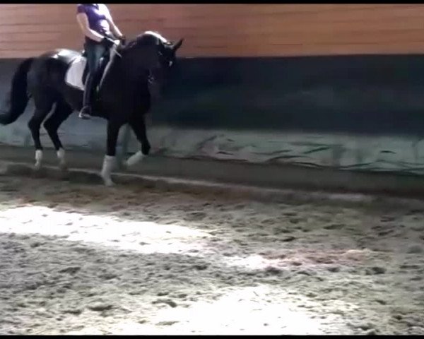 Video von Donna Han.Pr.St. (Danciano, Locksley II)