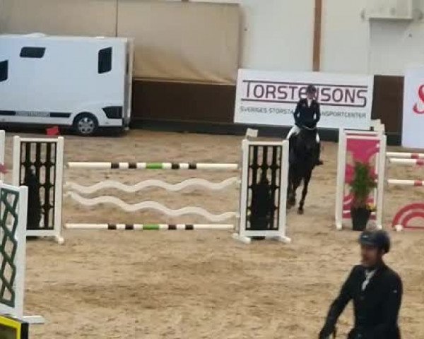 Video von Staklana