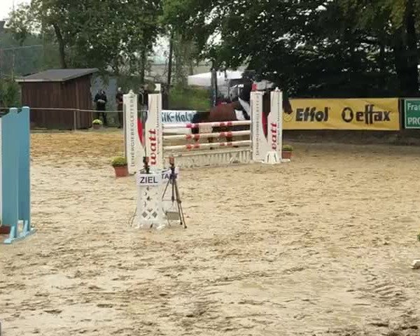 Video of Legacy 9