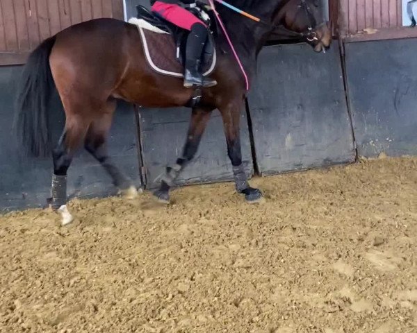 Video of Fränzchen