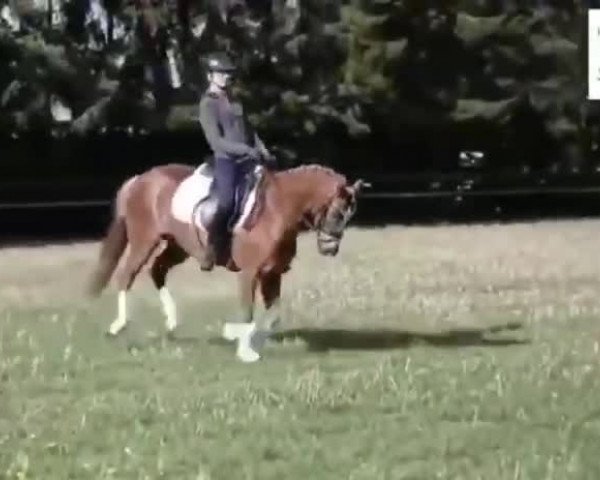 Video von Bel Berita E