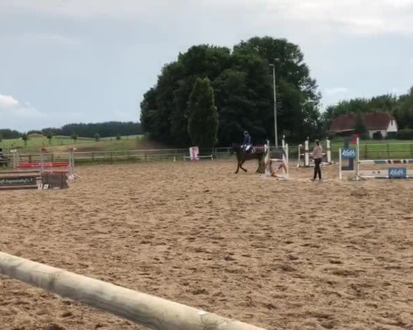 Video of Jolan 5