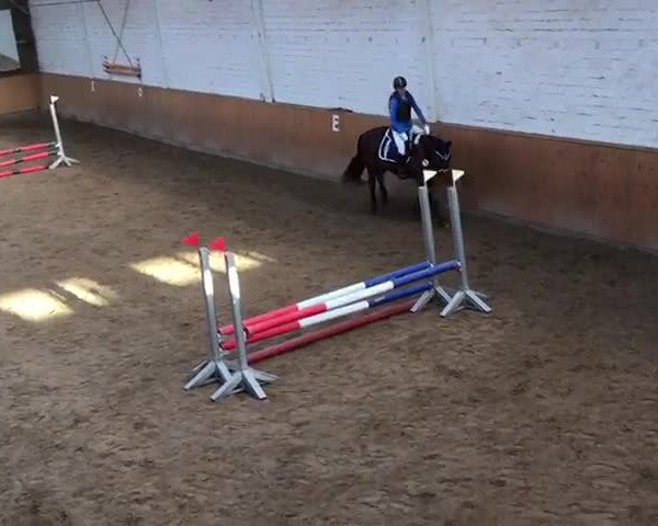 Video of Jolan 5