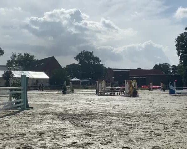 Reitturnier Nienburg 2020