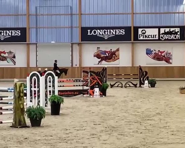 Video of Bernardo 17