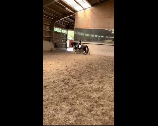 Video von Amazing Amy 6