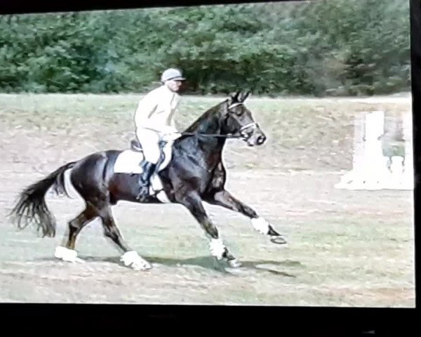 Video von Carbid 3