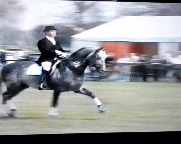 Video of Pygmalion