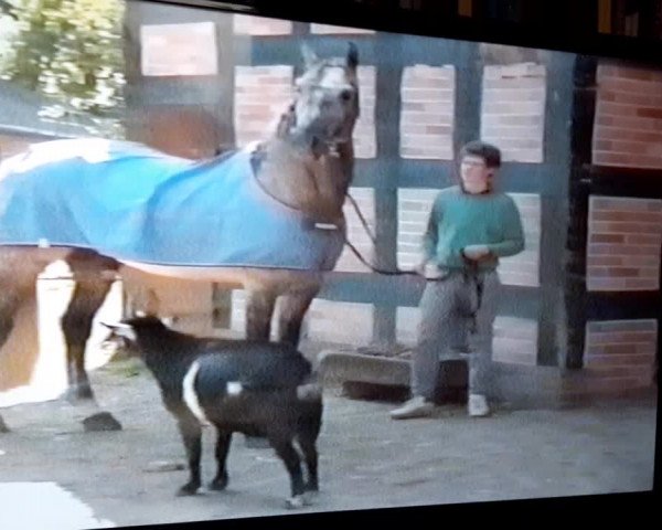 Video of Pygmalion