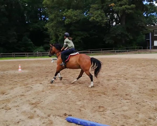 Video of Ciro Bianco