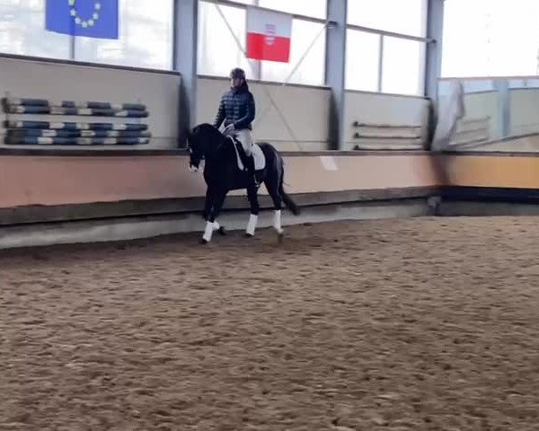 Video von Zion