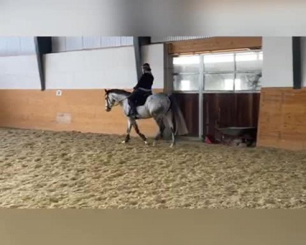 Video von Casablanca ZR