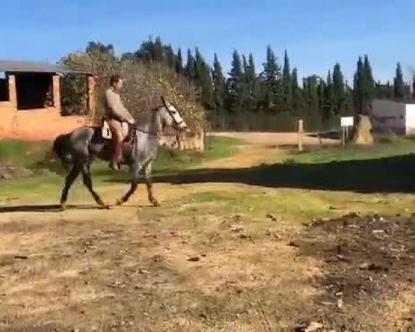 Video von Alejandria