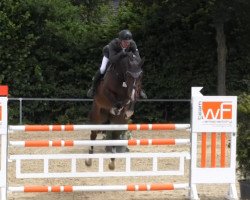 broodmare Baker's Maid S (Holsteiner, 2009, from Quintender 2)