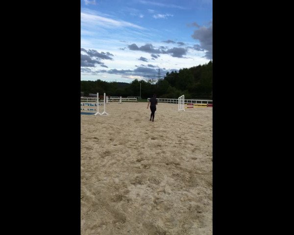 Video of Checkpoint Charly 8