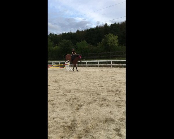 Video of Checkpoint Charly 8
