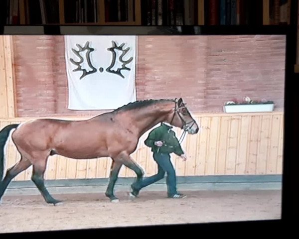 Video von Tycoon