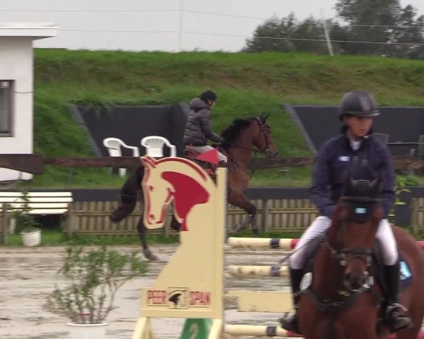 Reitturnier Schülp / Rendsburg 2021