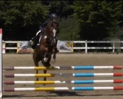 jumper For Fun Tf (German Riding Pony, 2009, from For Kids Only)