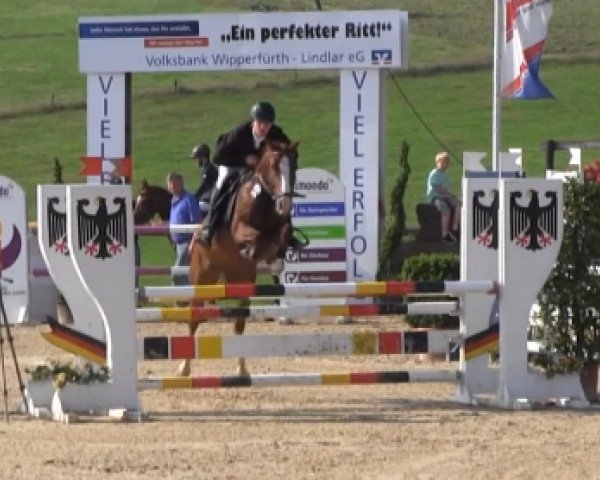 broodmare Mucia T (German Riding Pony, 2008, from Mentos Charmeur)