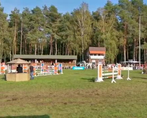 Video von Calimbo 13