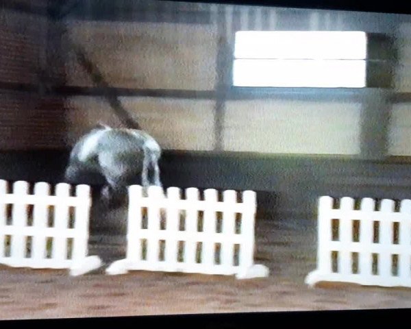 Video of Pygmalion