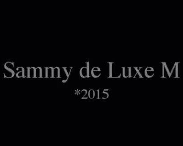 Video von Sammy de Luxe M