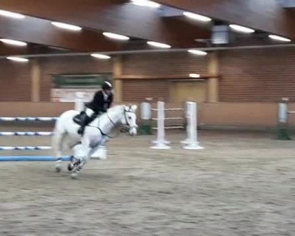 Video od Capri's Pearl