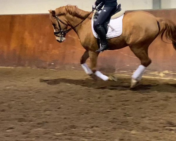 Video of Mr. Twisty