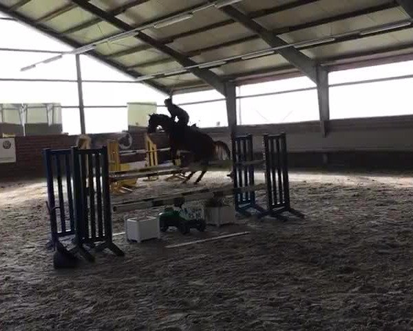 Video of Viala S