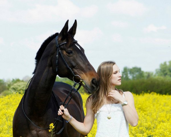 broodmare Classic Edition (Oldenburg, 1995, from Cadiz)