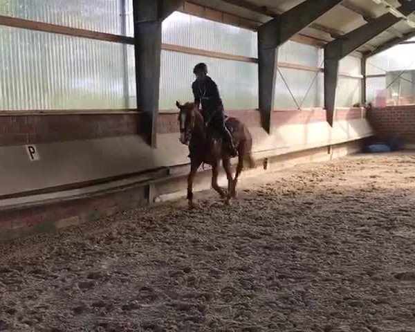 Video of Viala S