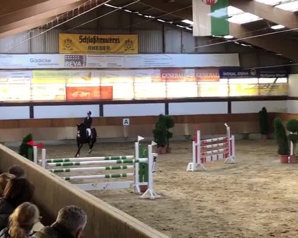 Reitturnier Brakel 2020
