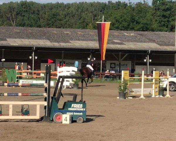 Video of Clearing 3